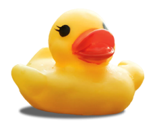 Dam Ducky Derby